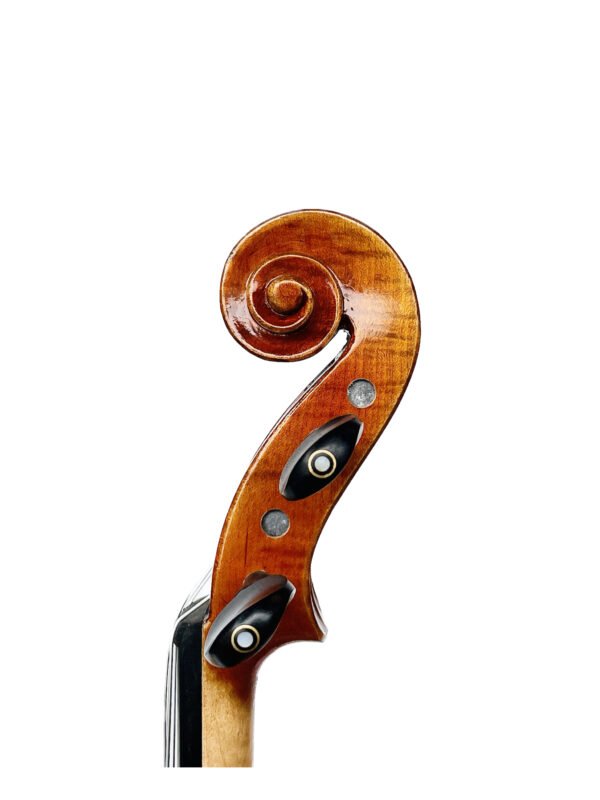 Scroll of the violin