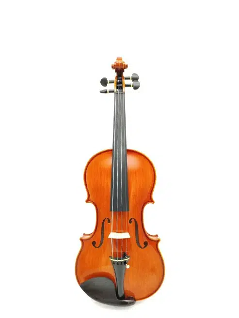 Violins Catalog