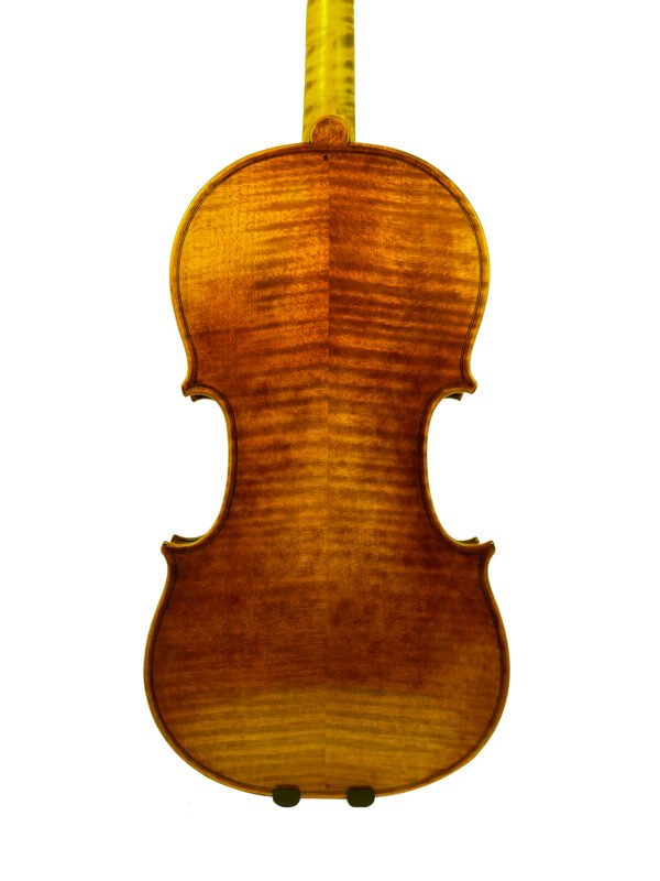 aria series violin