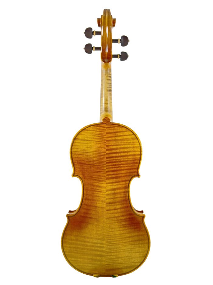 Virtuoso Intermediate Violins