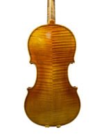 Virtuoso Series Violins