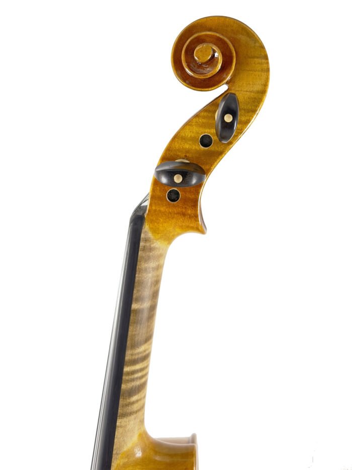 Presto Series Intermediate Violins