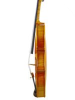 Euphony Series Intermediate Violins