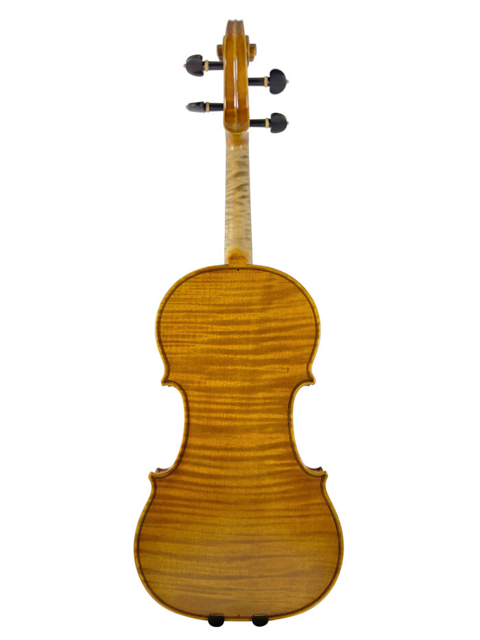 #0001 Professional Violin