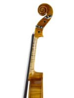 #0001 Professional Violin