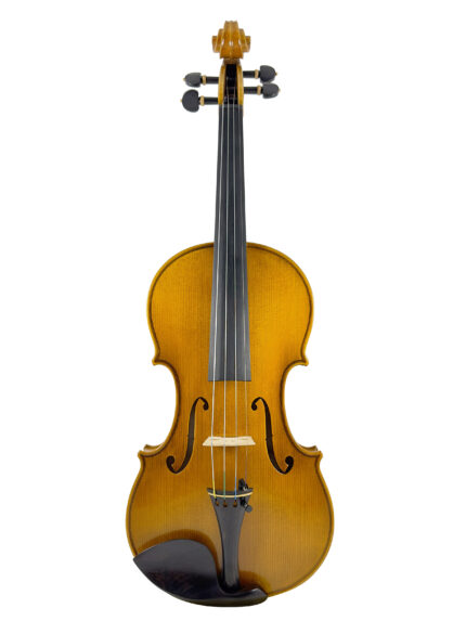 #1609 Professional Violin