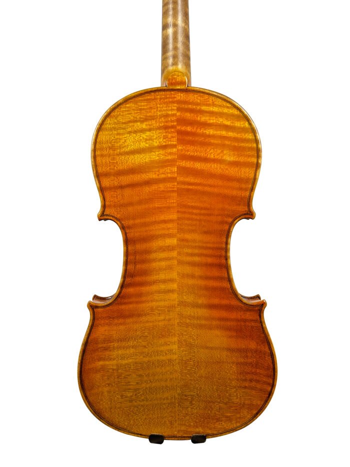 new violin6 5