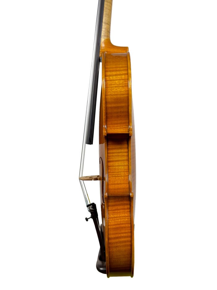 professional violin 243 4 3 1